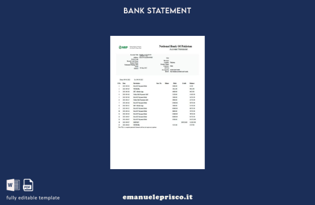 modello word di estratto conto della Banca nazionale del Pakistan in stile verif